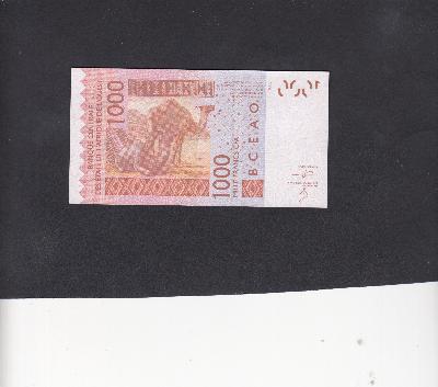 Beschrijving achterzijde: CAMEL